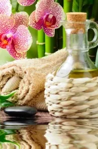 12 CE Aromatherapy & Hot Stone Massage Basics (Computer-Based Live Interactive Webinar)