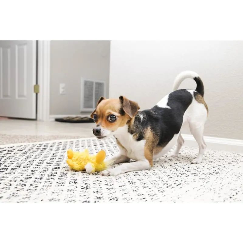 [20% OFF] KONG Dr. Noyz Duck Dog Toy