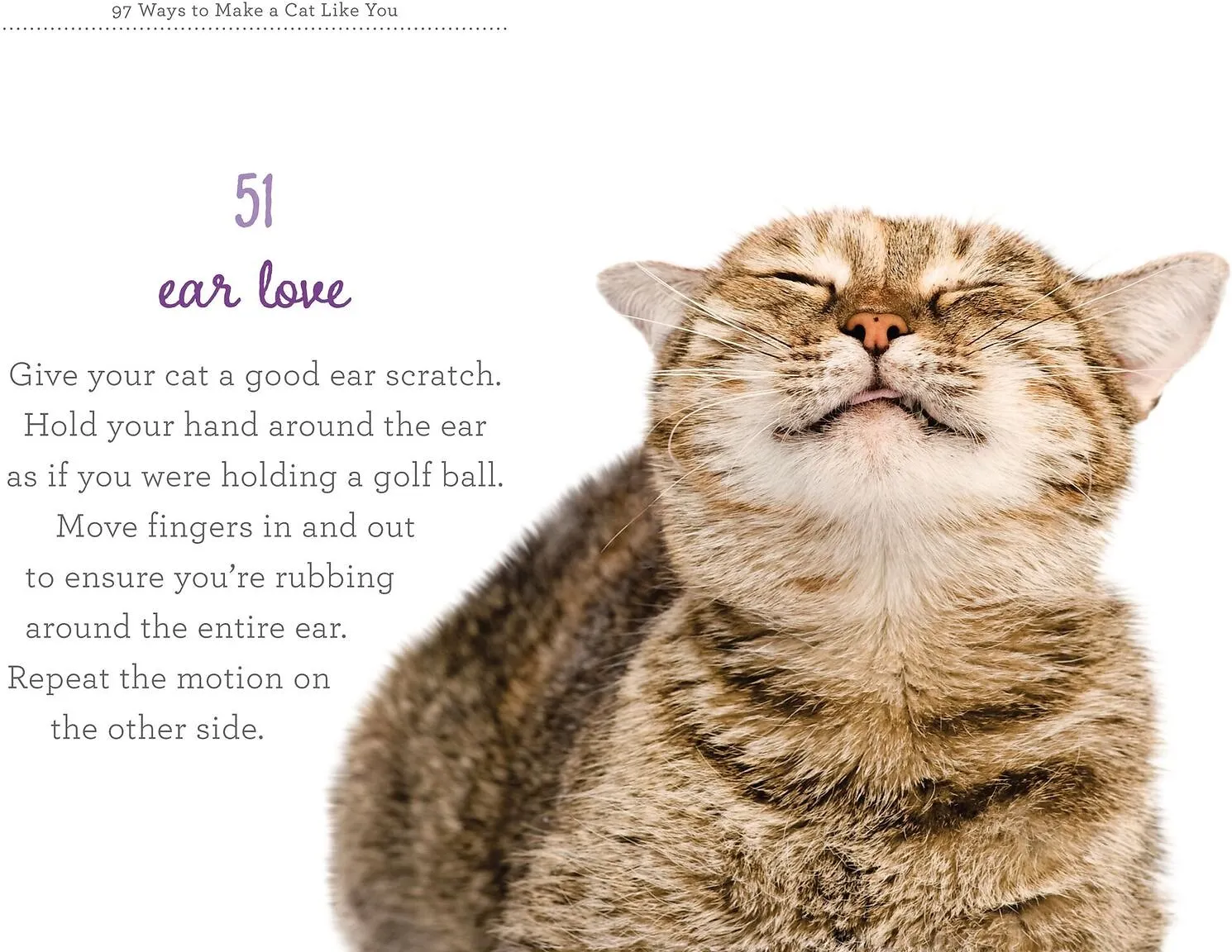 97 WAYS TO MAKE A CAT LIKE YOU BOOK