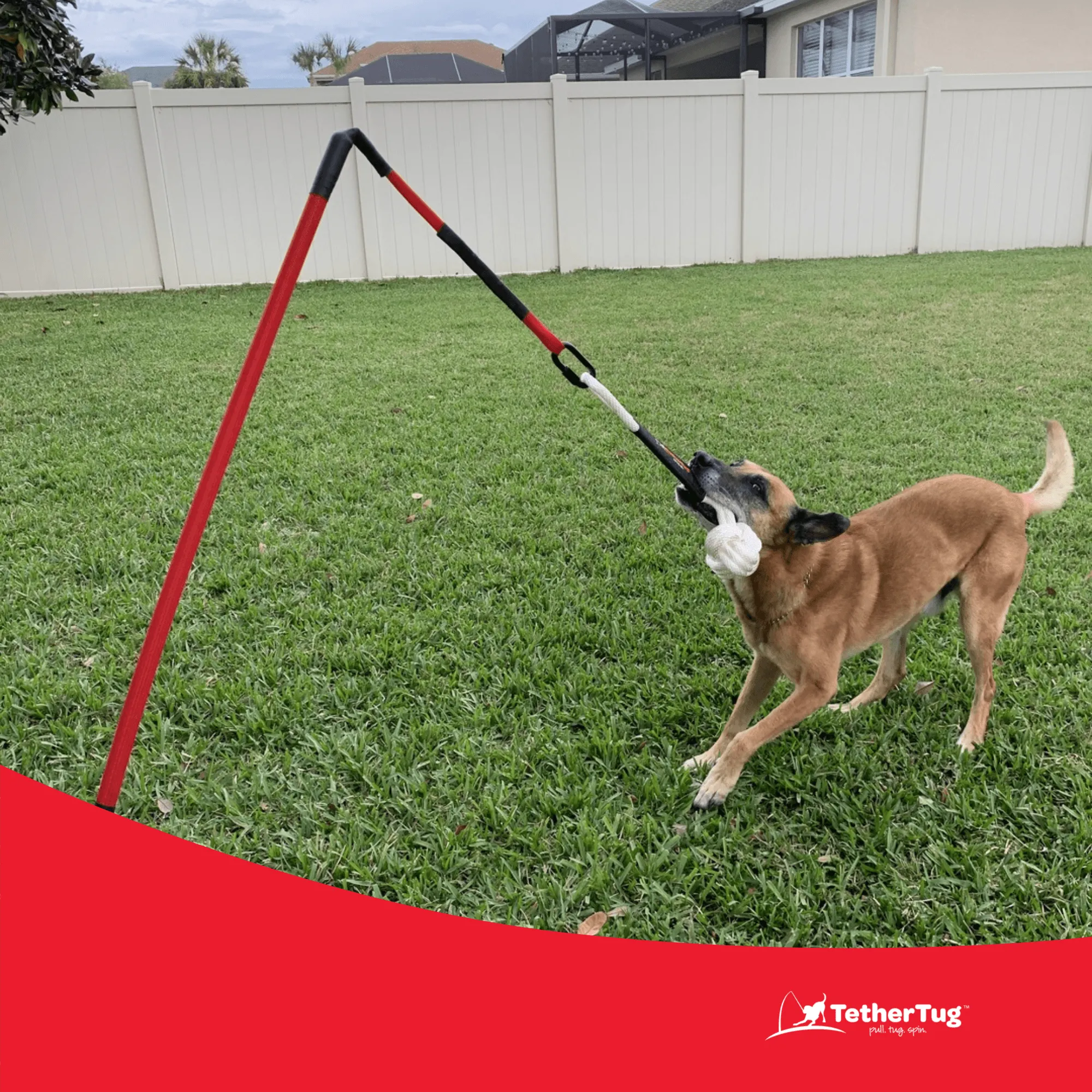 BIG Outdoor Tether Tug Kit for Dogs 70 lbs or More