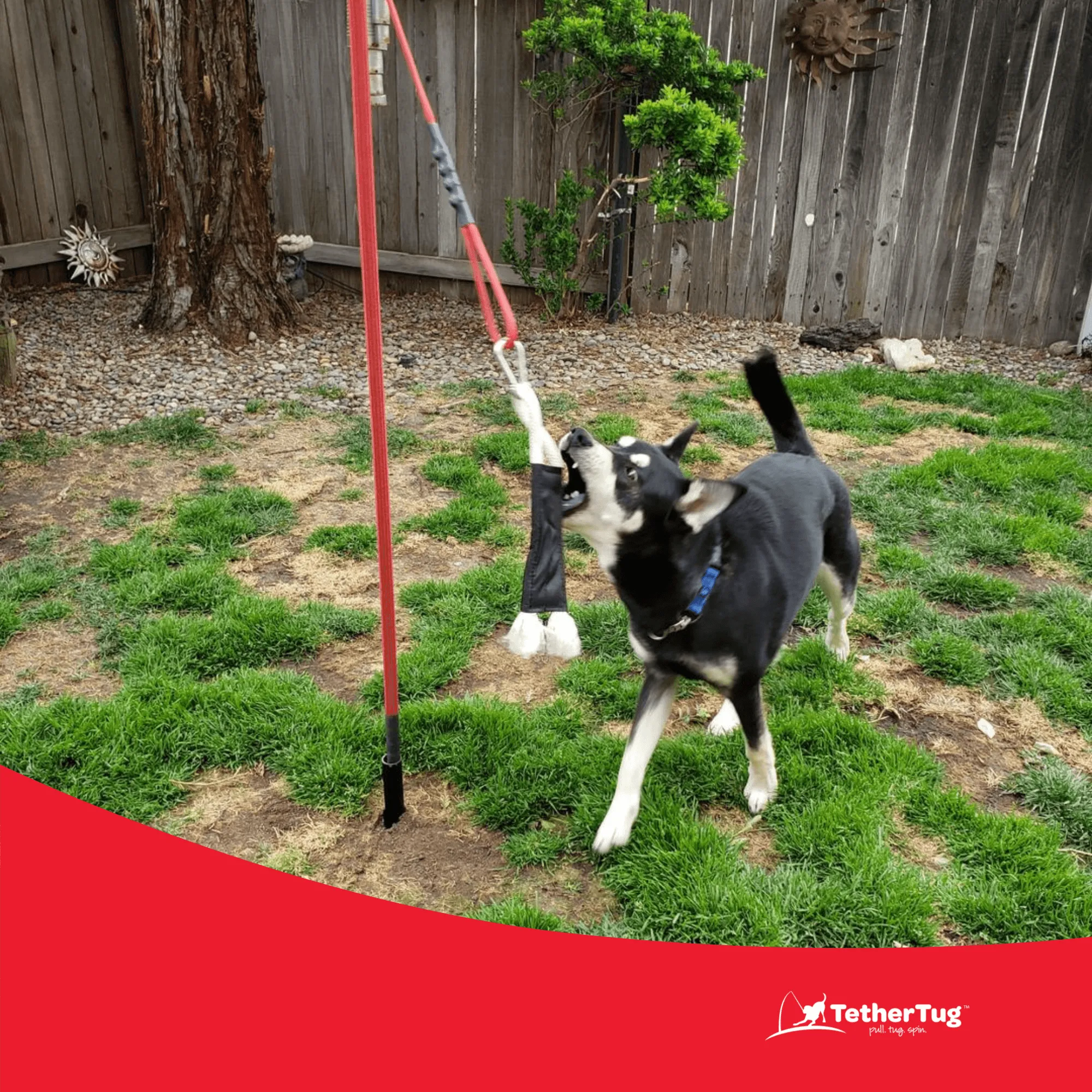 BIG Outdoor Tether Tug Kit for Dogs 70 lbs or More