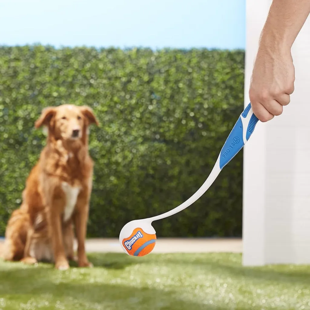 Chuckit! Sport Ball Launcher Toy For Dogs, color varies