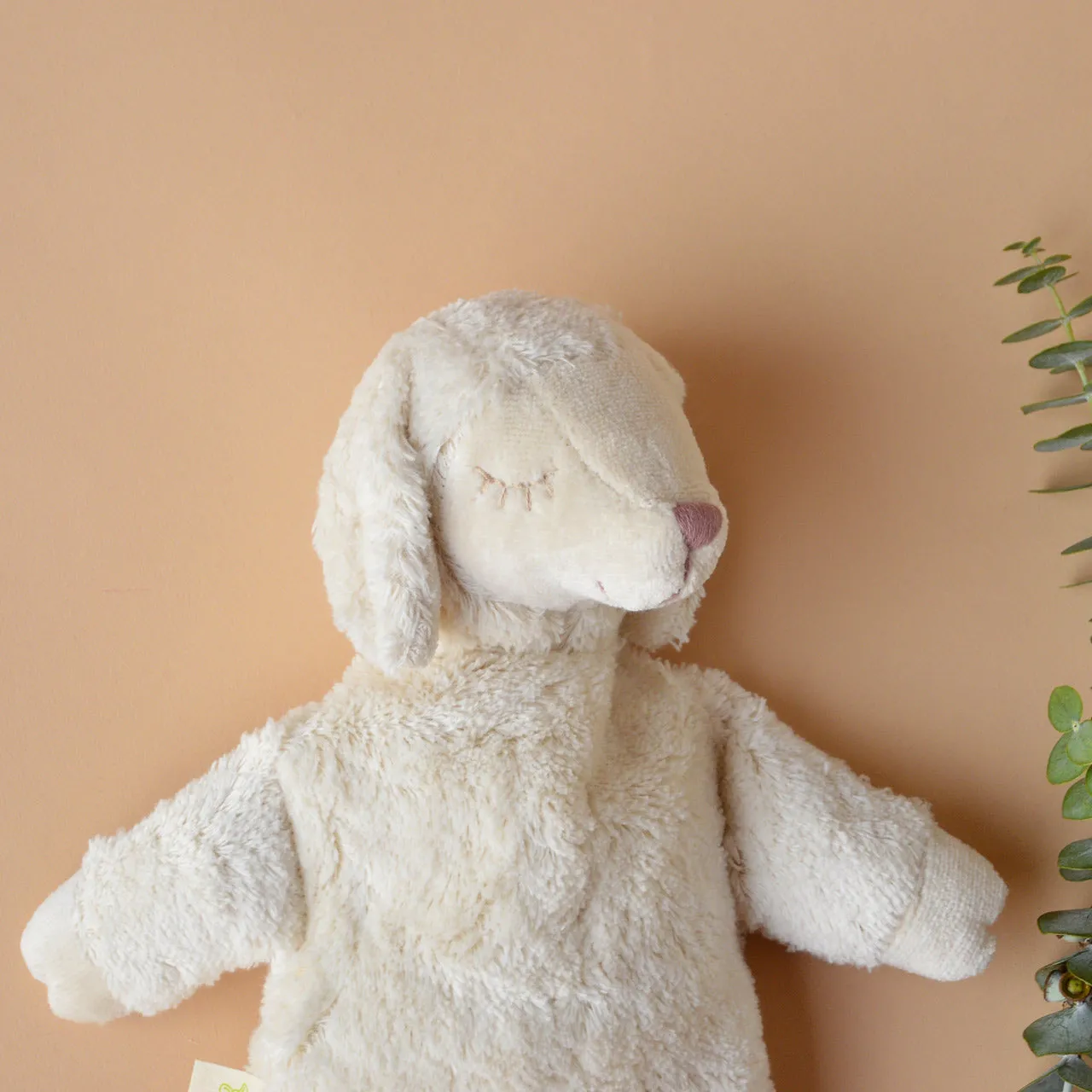 Cuddly White Sheep Toy/Heat Pack in Organic Cotton/Lambswool - Small