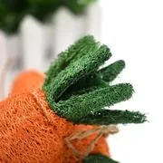 Dental Carrot Toy - Loofah