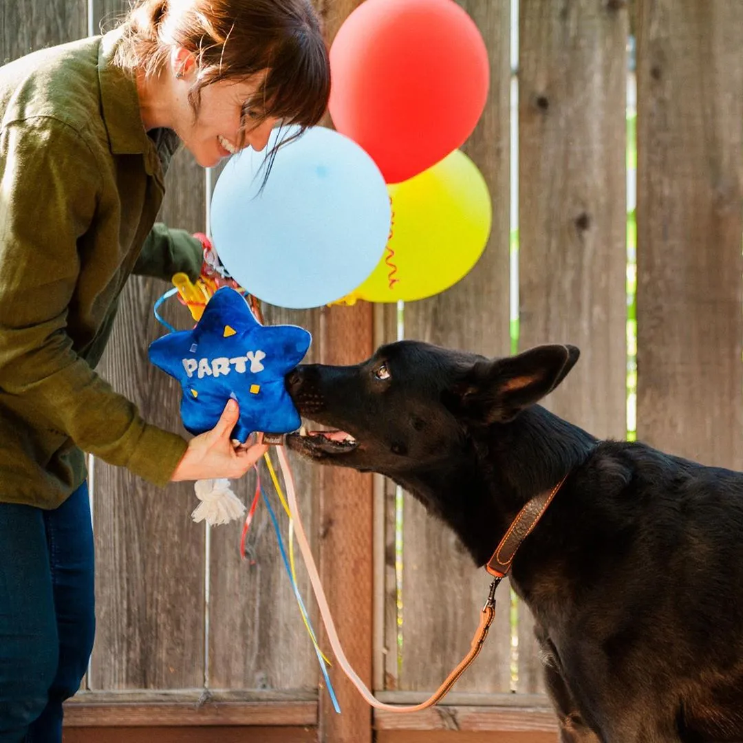 Dog Plush Toy - Party Time Collection