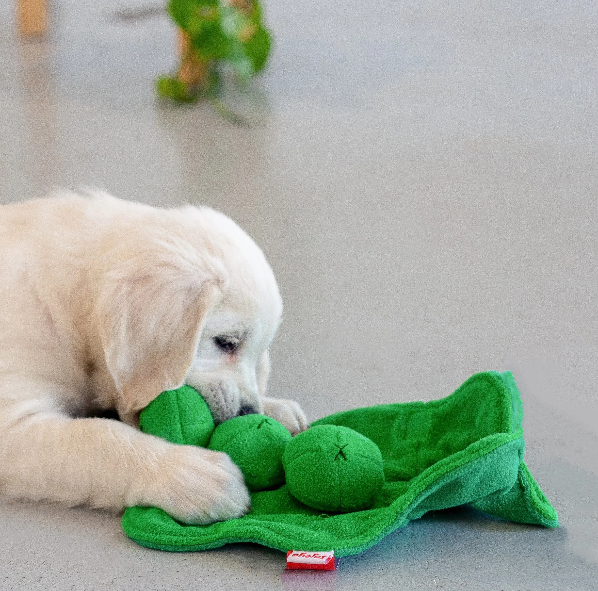 Dog Sniff and Search Interactive Nosework Snuffle Toy, the Peapod