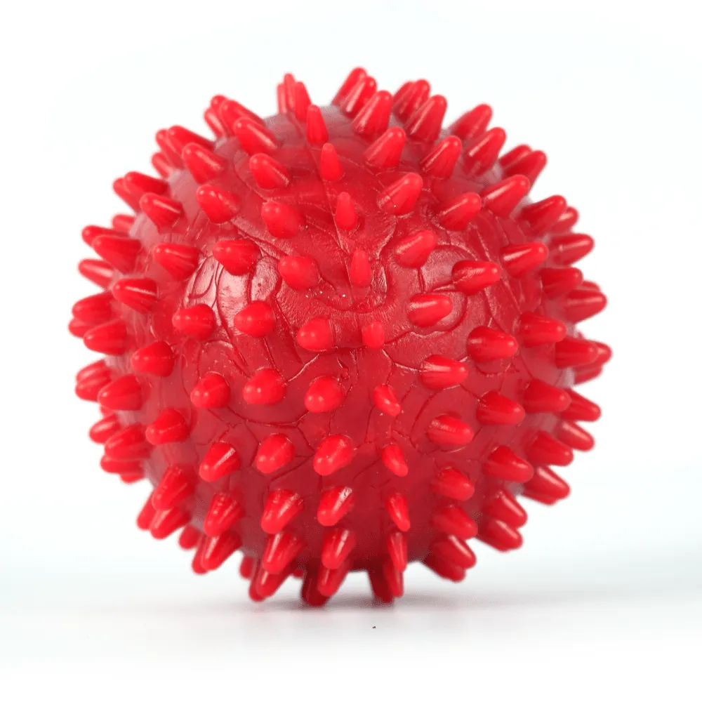 Drools Non Toxic Rubber Stud Spike Hard Ball and Barkbutler Chu the bone Treat Toy for Dogs Combo