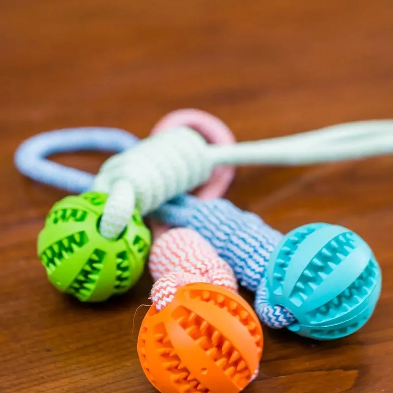 Durable Rubber Ball Chew Toy with Cotton Rope