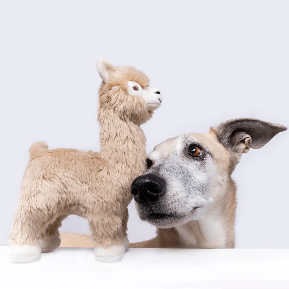 Fluff & Tuff Inca Alpaca Plush Dog Toy - Wholesale