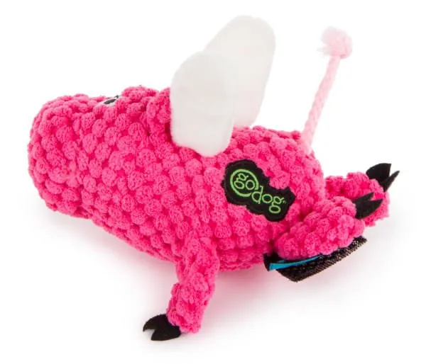 Flying Pig Dog Toy, Mini