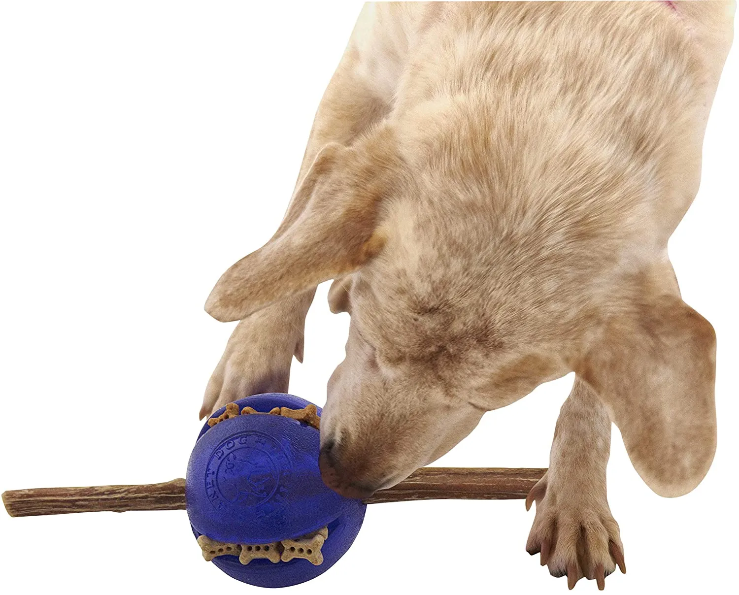 Interactive, Treat-dispensing Dog Toy, Orbee-Tuff Ball, Guru Purple