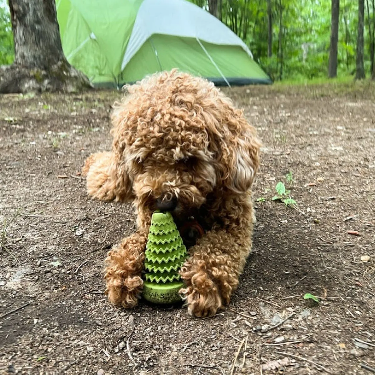 Interactive Treat Dispensing Puzzle Rubber Dog Toy: Evergreen Tree