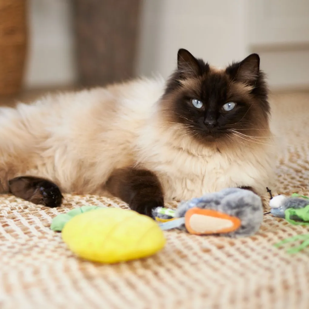 Kazoo Crinkly Pineapple Cat Toy