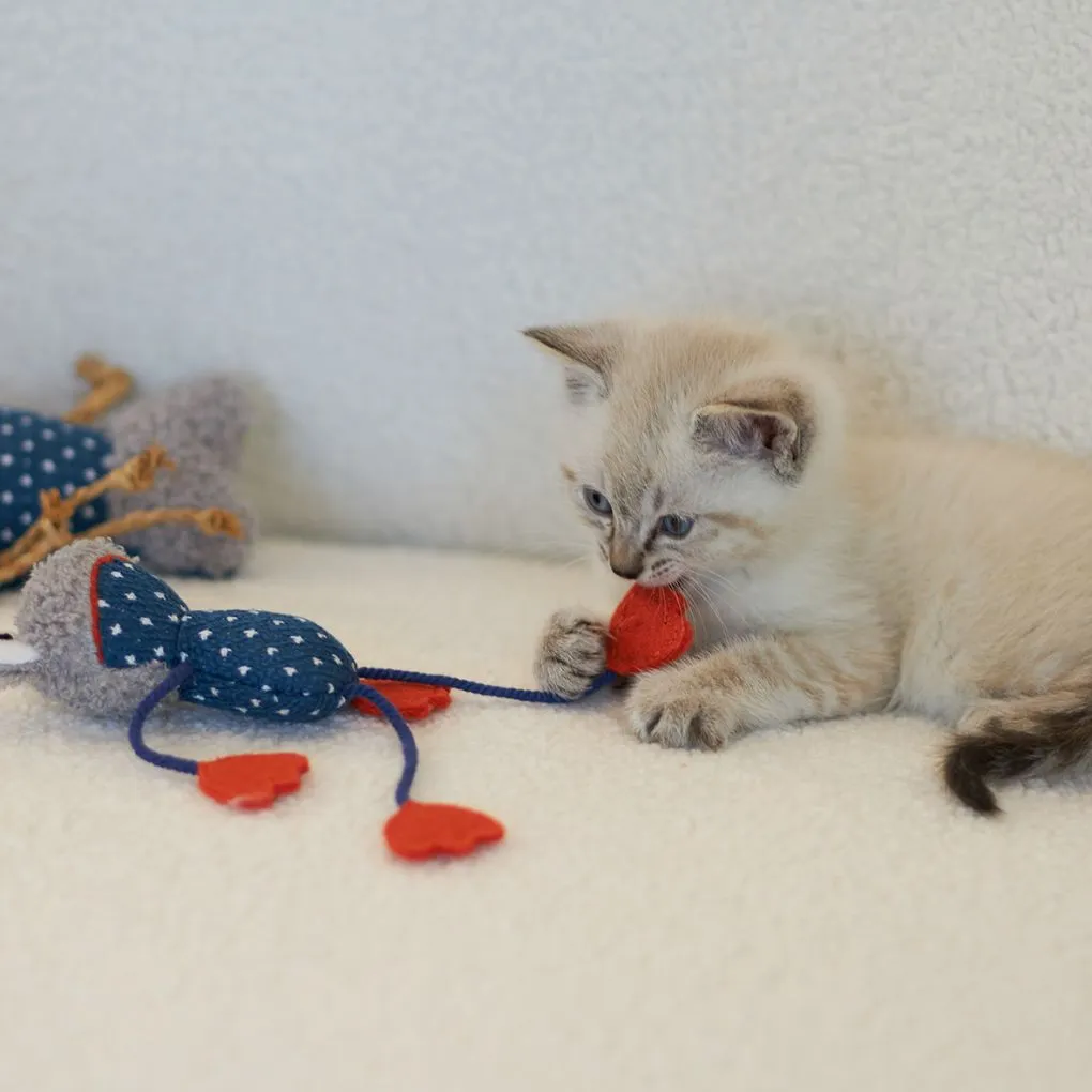 Kazoo Floppy Frog Cat Toy