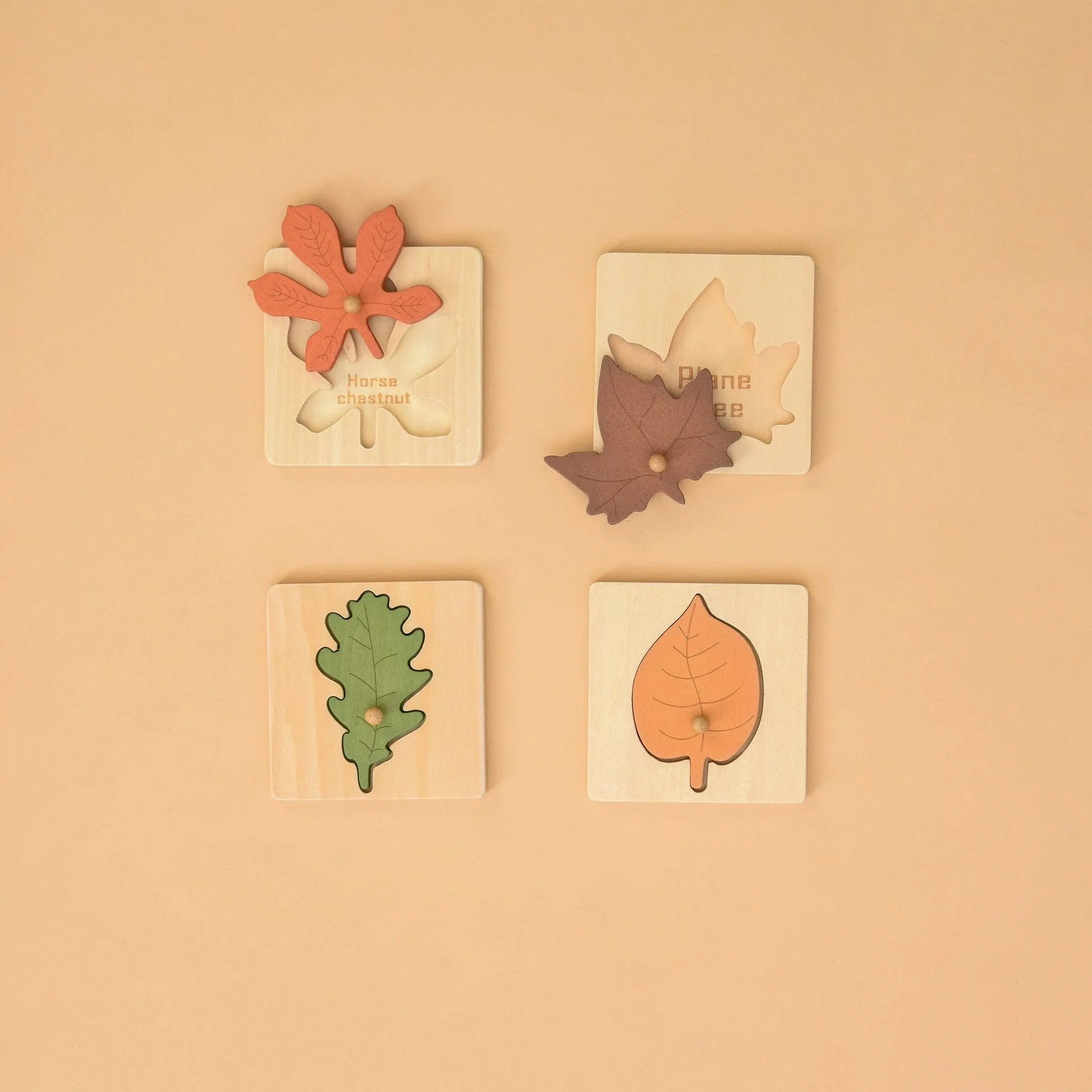 Montessori Wooden Leaf Puzzle - 4 in 1 Nordic Style Leaf Set