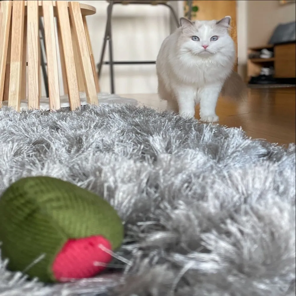 Olive with Fig Cat Toy