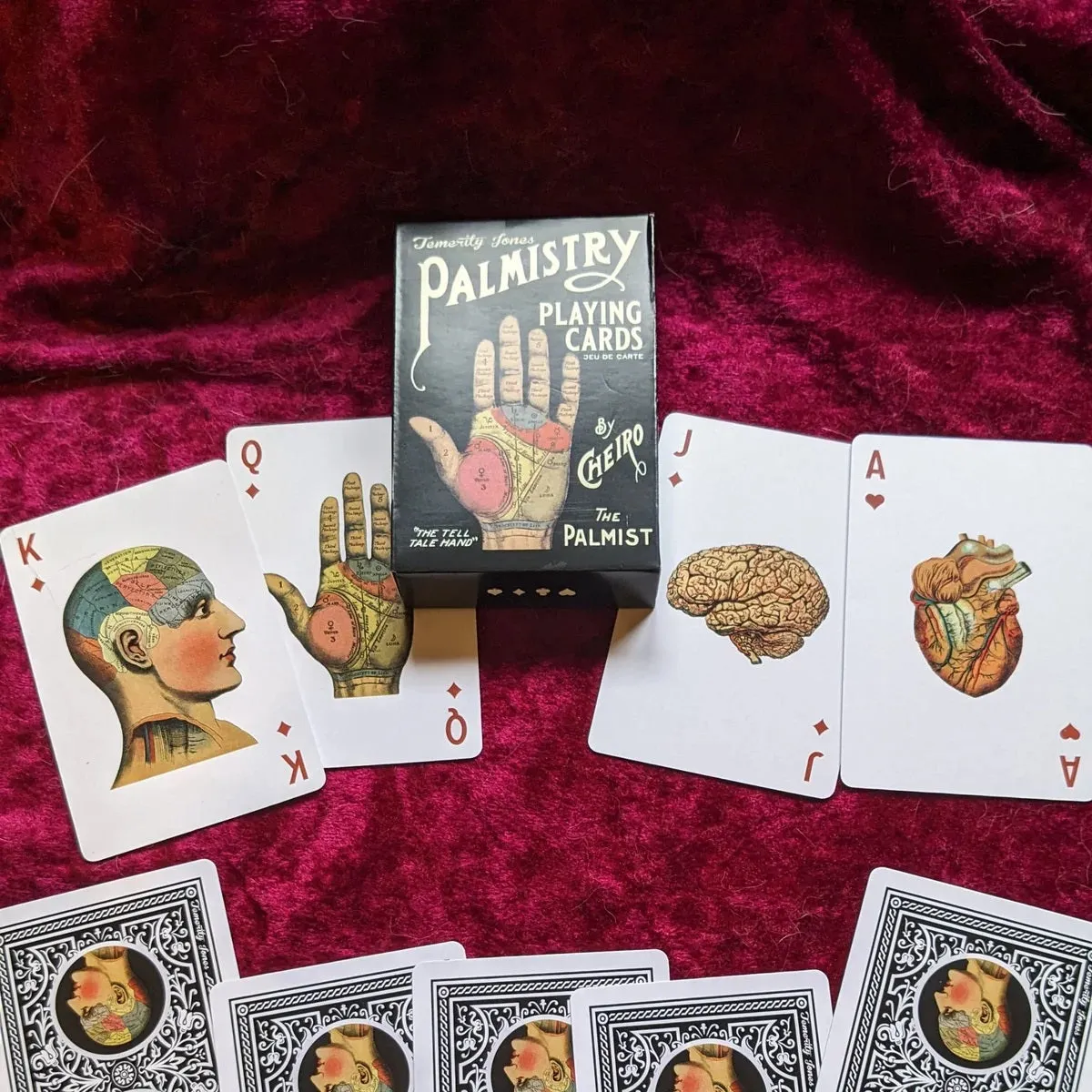 Palmistry & Phrenology Playing Cards