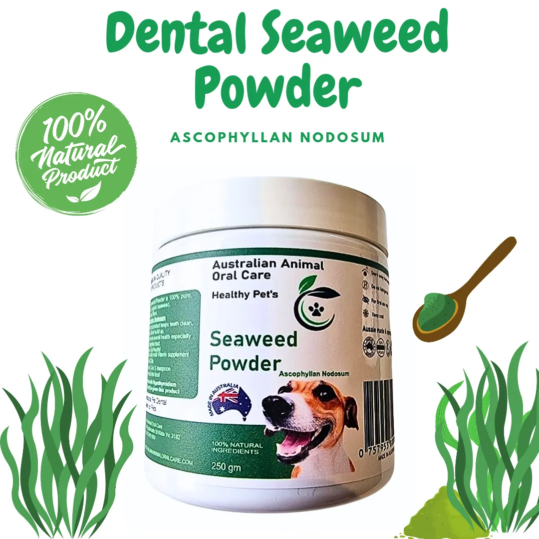 Pet Dental Seaweed Powder -  Ascophyllum Nodosum