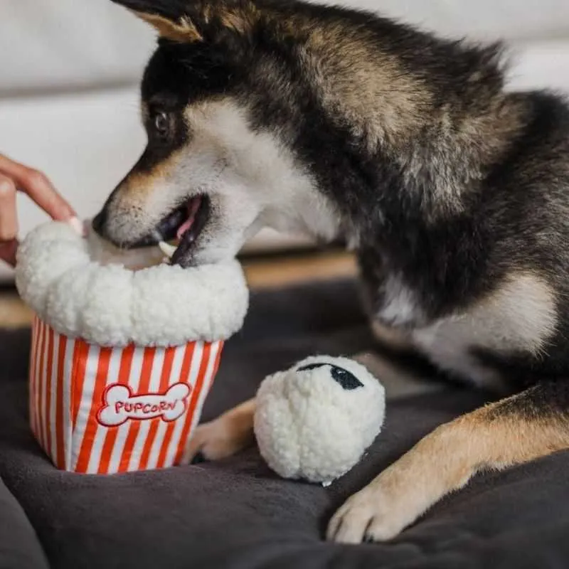 Pupcorn Plush Dog Toy