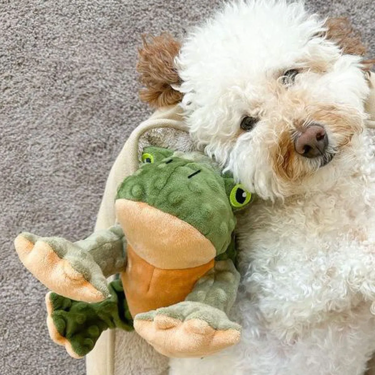 Squeaky Plush Dog Toy: Animated Frog