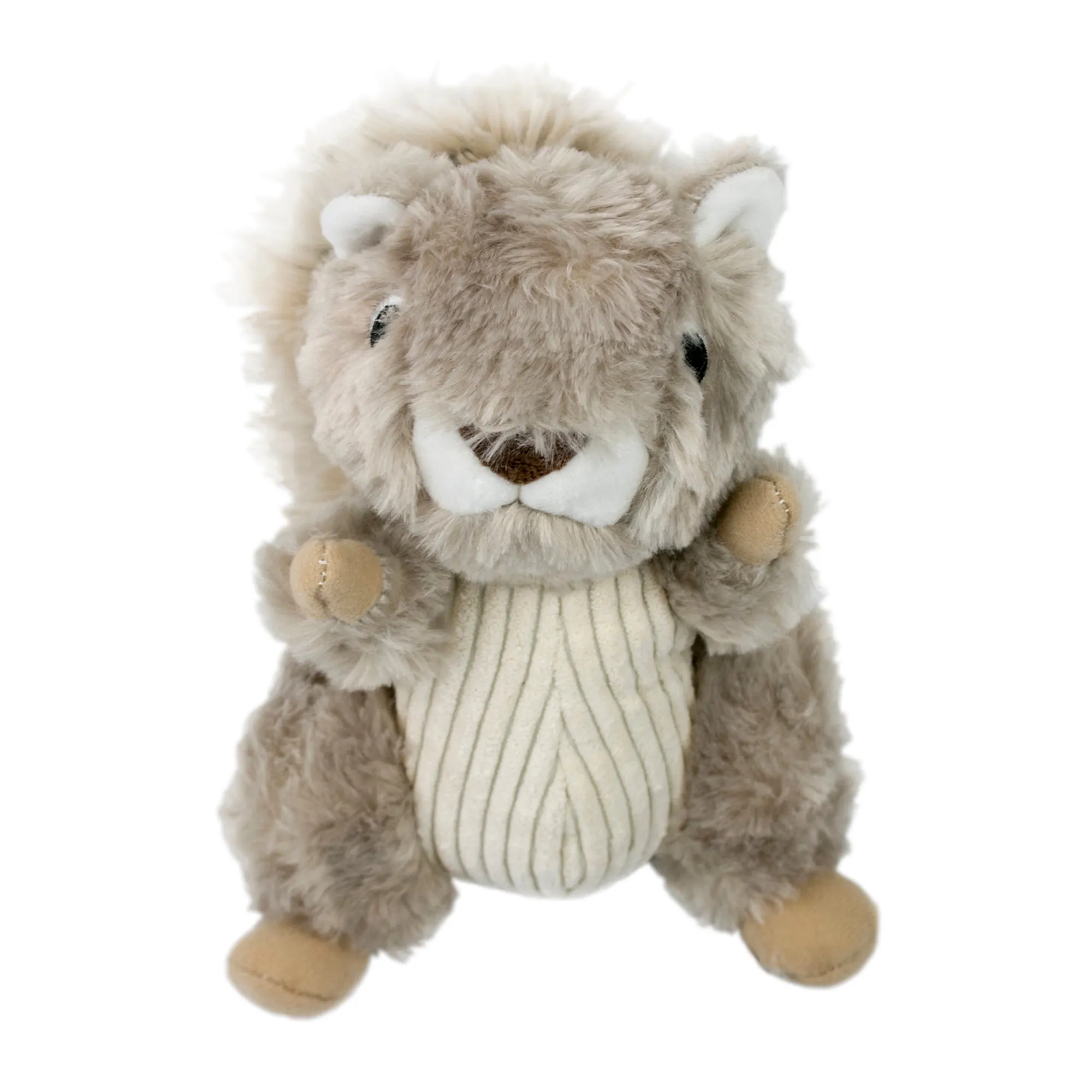 Squeaky Plush Dog Toy: Animated Squirrel