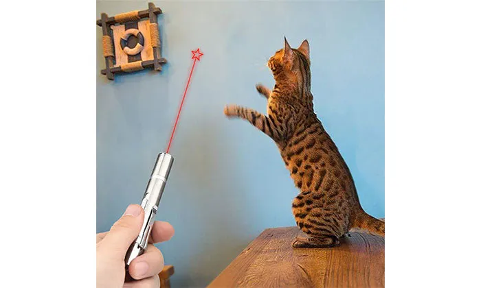 Tease Cat Flashlight Toy