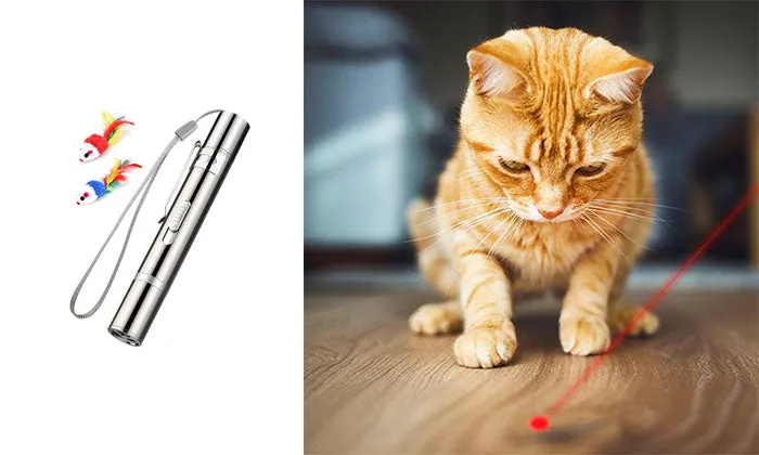 Tease Cat Flashlight Toy