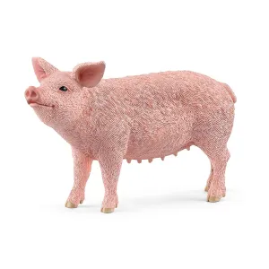 Toy | Pig