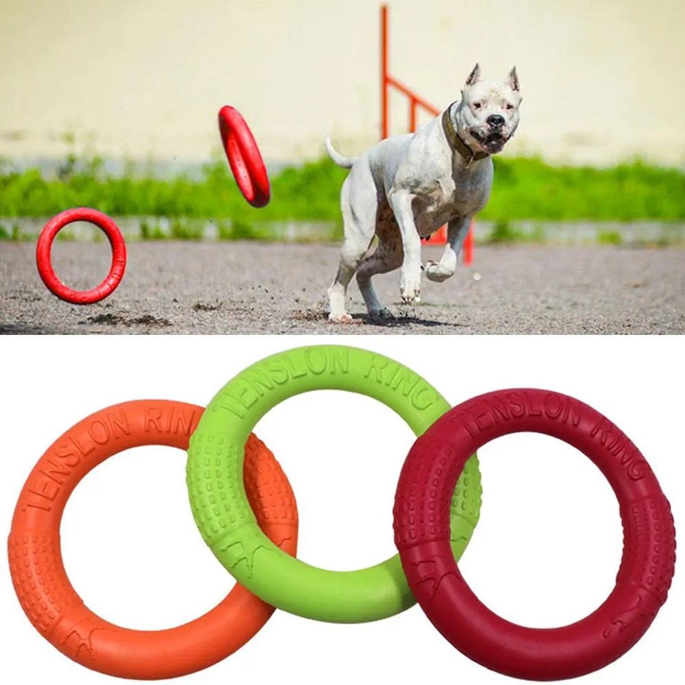 Training Dog Ring