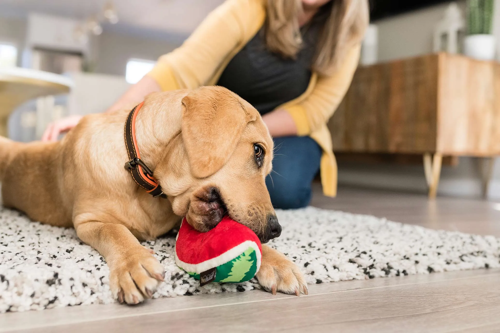 Tropical Paradise Squeaky Plush Dog toys, Wagging Watermelon