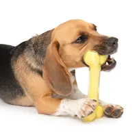 Zeus Duo Bone - Coconut Scent - Yellow - 18 cm (7 in)